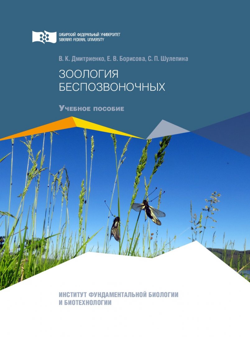 Зоология беспозвоночных: учебное пособие к летней практике : учебное  пособие | Библиотечно-издательский комплекс СФУ