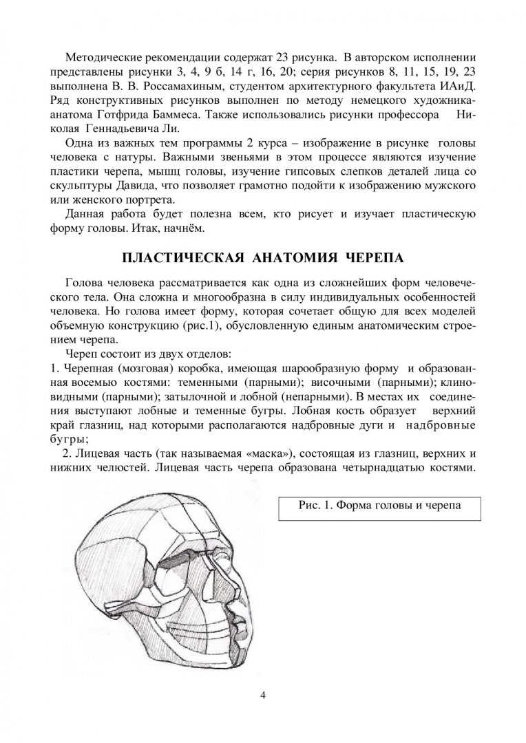 Рисунок. Пластическая анатомия головы человека : учеб.-метод. пособие для  вузов | Библиотечно-издательский комплекс СФУ